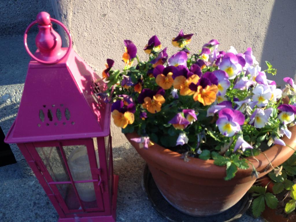 B&B La Vie en Rose Basilea Exterior foto